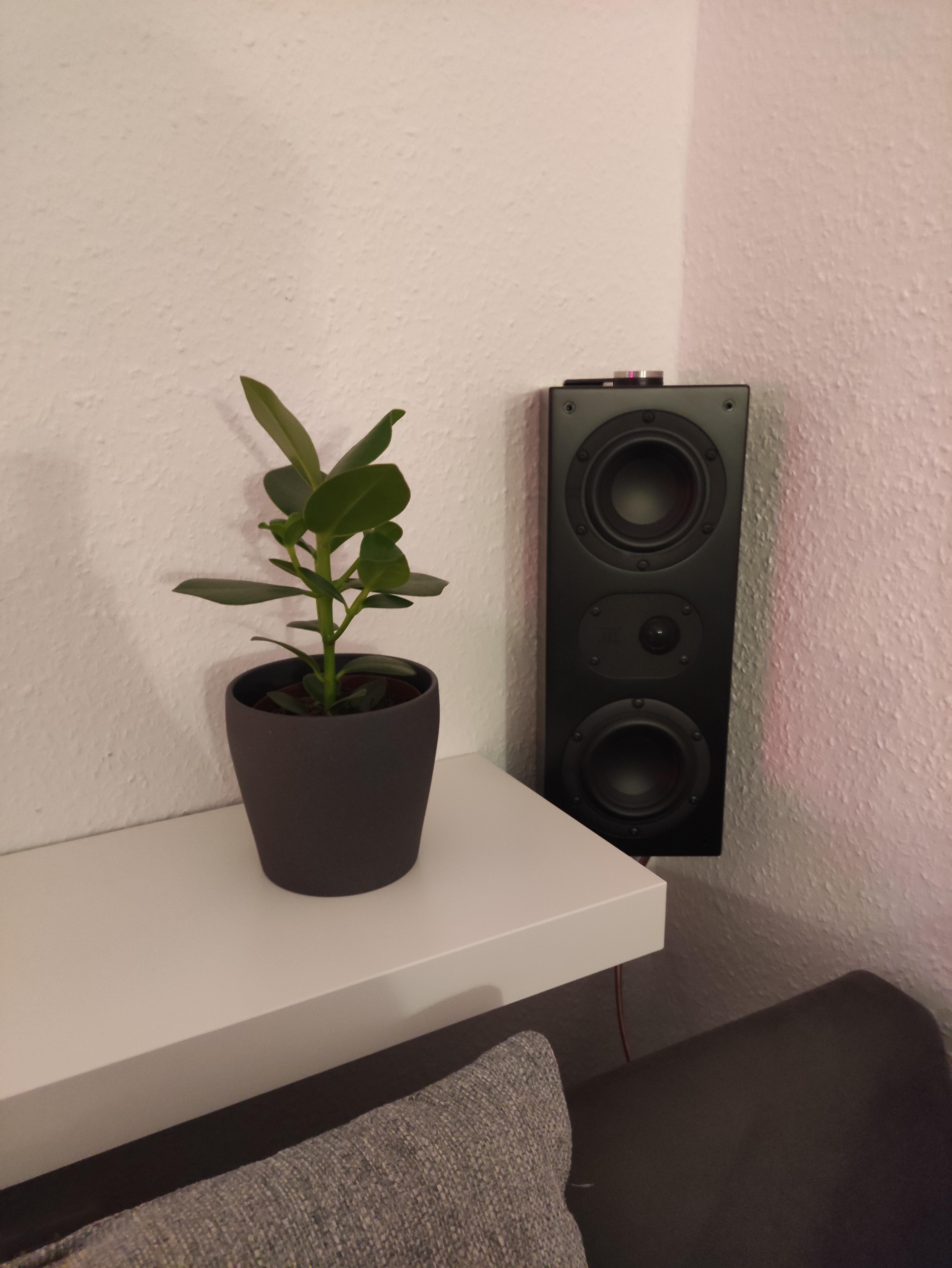Hochton zu scharf bei mir